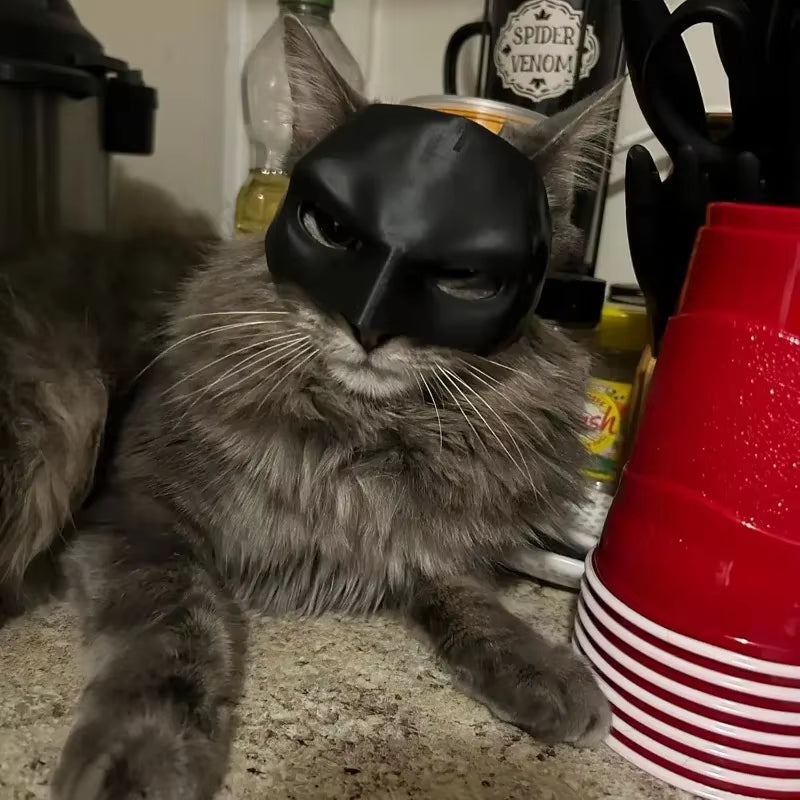 Matte Bat Design Cat Mask - Stylish Halloween Accessory for Your Feline Friend