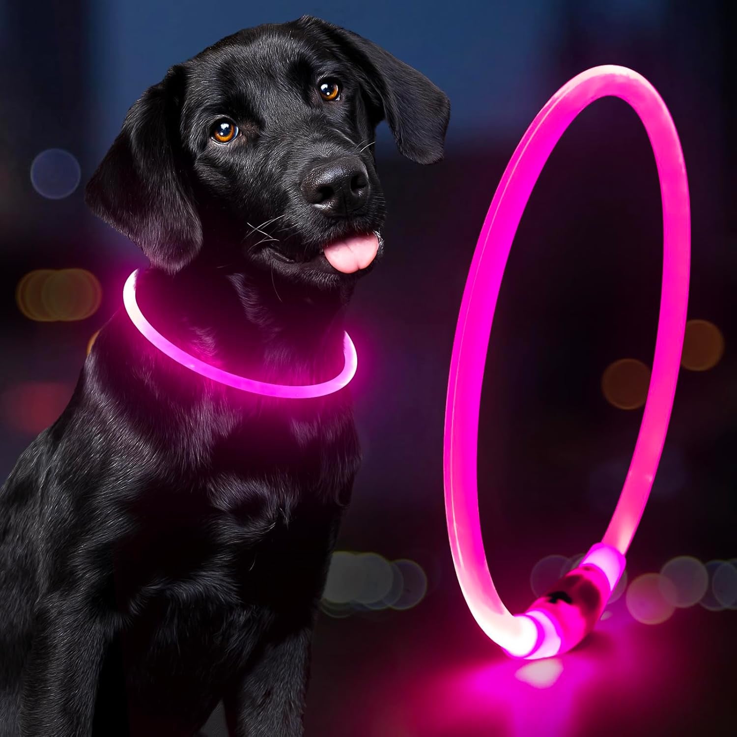 Lighted Dog Collar - Waterproof Puppy Collar Light Rechargeable, High Visibility Glowing Dog Lights for Night Walking (Orange)