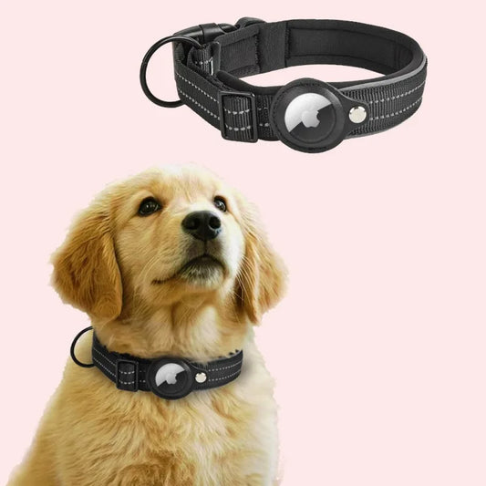 Reflective Padded Dog Collar with Airtag Holder - Adjustable Pet Collar for Small, Medium, and Large Dogs