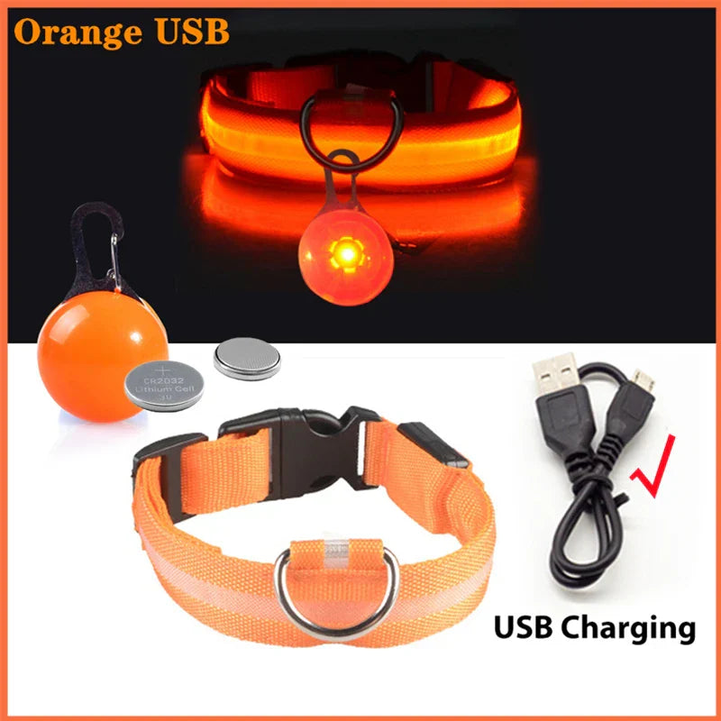 USB Rechargeable LED Dog Collar with Detachable Pendant - Illuminated Safety Collar for Small Dogs and Cats - Wholesale Availability
