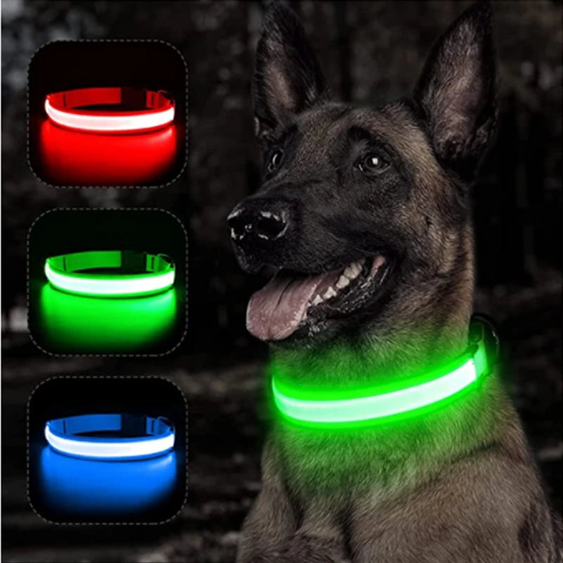 USB Rechargeable LED Dog Collar with Detachable Pendant - Illuminated Safety Collar for Small Dogs and Cats - Wholesale Availability