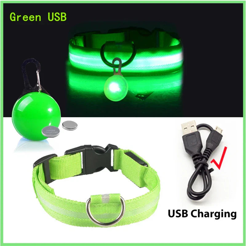 USB Rechargeable LED Dog Collar with Detachable Pendant - Illuminated Safety Collar for Small Dogs and Cats - Wholesale Availability