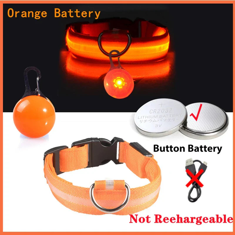 USB Rechargeable LED Dog Collar with Detachable Pendant - Illuminated Safety Collar for Small Dogs and Cats - Wholesale Availability
