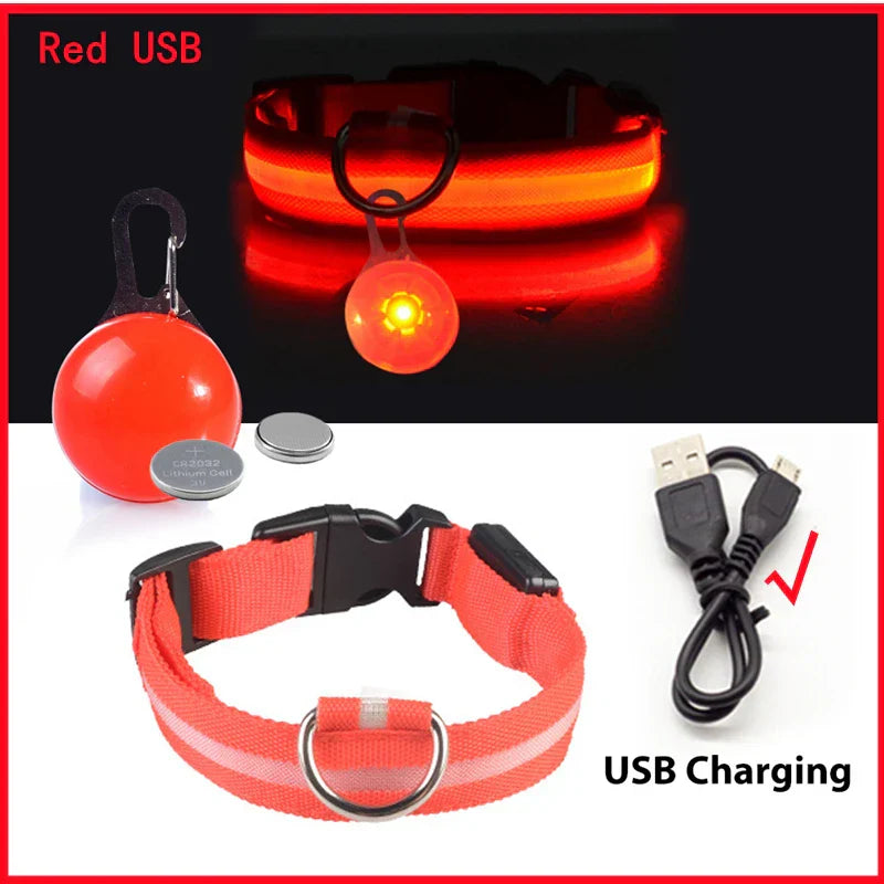 USB Rechargeable LED Dog Collar with Detachable Pendant - Illuminated Safety Collar for Small Dogs and Cats - Wholesale Availability