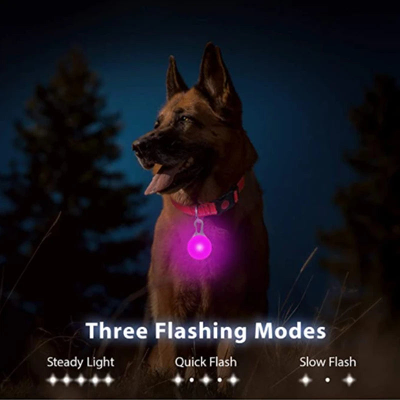 USB Rechargeable LED Dog Collar with Detachable Pendant - Illuminated Safety Collar for Small Dogs and Cats - Wholesale Availability