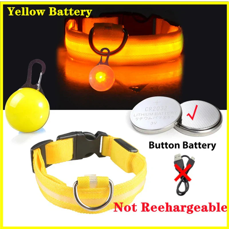 USB Rechargeable LED Dog Collar with Detachable Pendant - Illuminated Safety Collar for Small Dogs and Cats - Wholesale Availability