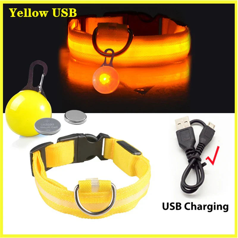 USB Rechargeable LED Dog Collar with Detachable Pendant - Illuminated Safety Collar for Small Dogs and Cats - Wholesale Availability