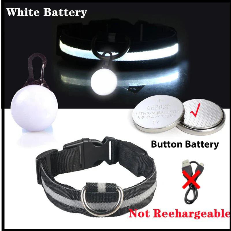 USB Rechargeable LED Dog Collar with Detachable Pendant - Illuminated Safety Collar for Small Dogs and Cats - Wholesale Availability