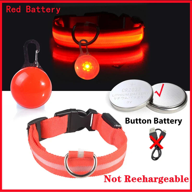 USB Rechargeable LED Dog Collar with Detachable Pendant - Illuminated Safety Collar for Small Dogs and Cats - Wholesale Availability