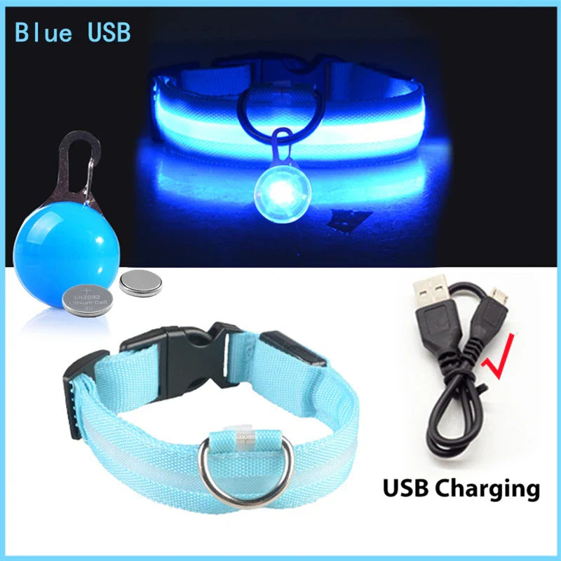 USB Rechargeable LED Dog Collar with Detachable Pendant - Illuminated Safety Collar for Small Dogs and Cats - Wholesale Availability