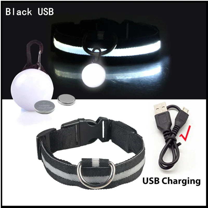 USB Rechargeable LED Dog Collar with Detachable Pendant - Illuminated Safety Collar for Small Dogs and Cats - Wholesale Availability