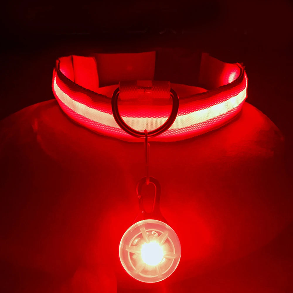 USB Rechargeable LED Dog Collar with Detachable Pendant - Illuminated Safety Collar for Small Dogs and Cats - Wholesale Availability