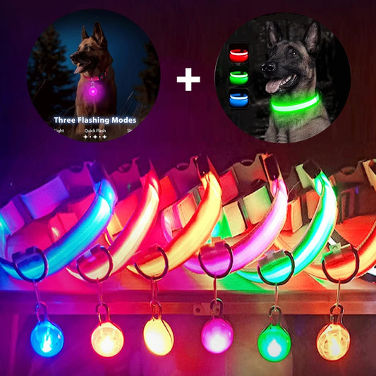 USB Rechargeable LED Dog Collar with Detachable Pendant - Illuminated Safety Collar for Small Dogs and Cats - Wholesale Availability