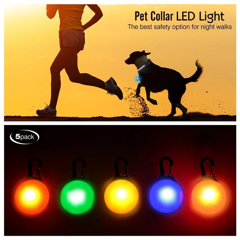 USB Rechargeable LED Dog Collar with Detachable Pendant - Illuminated Safety Collar for Small Dogs and Cats - Wholesale Availability