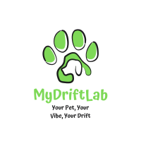 Drift Lab