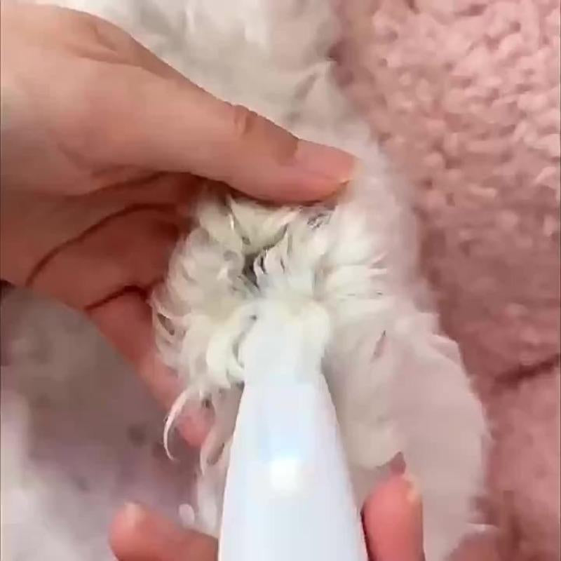 Rechargeable Pet Hair Trimmer Kit, Pet Paw Trimmer