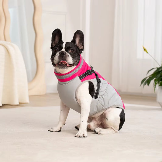 Waterproof Winter Pet Jacket with Harness for Small and Large Dogs - Ideal for Labradors, Chihuahuas, and French Bulldogs