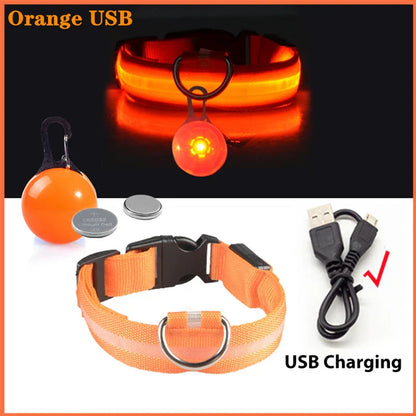 USB Rechargeable LED Dog Collar with Detachable Pendant - Illuminated Safety Collar for Small Dogs and Cats - Wholesale Availability