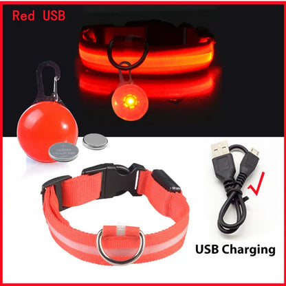 USB Rechargeable LED Dog Collar with Detachable Pendant - Illuminated Safety Collar for Small Dogs and Cats - Wholesale Availability
