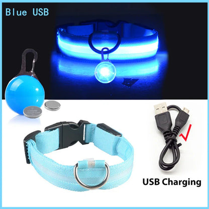 USB Rechargeable LED Dog Collar with Detachable Pendant - Illuminated Safety Collar for Small Dogs and Cats - Wholesale Availability