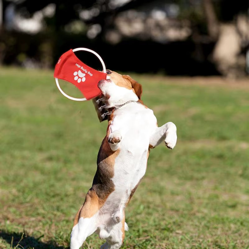 Illuminate Playtime: Glow in the Dark Flying Discs for Dogs