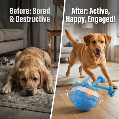 Smart Dog Play & Exercise Bundle