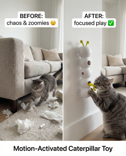 Ultimate Cat Entertainment Bundle