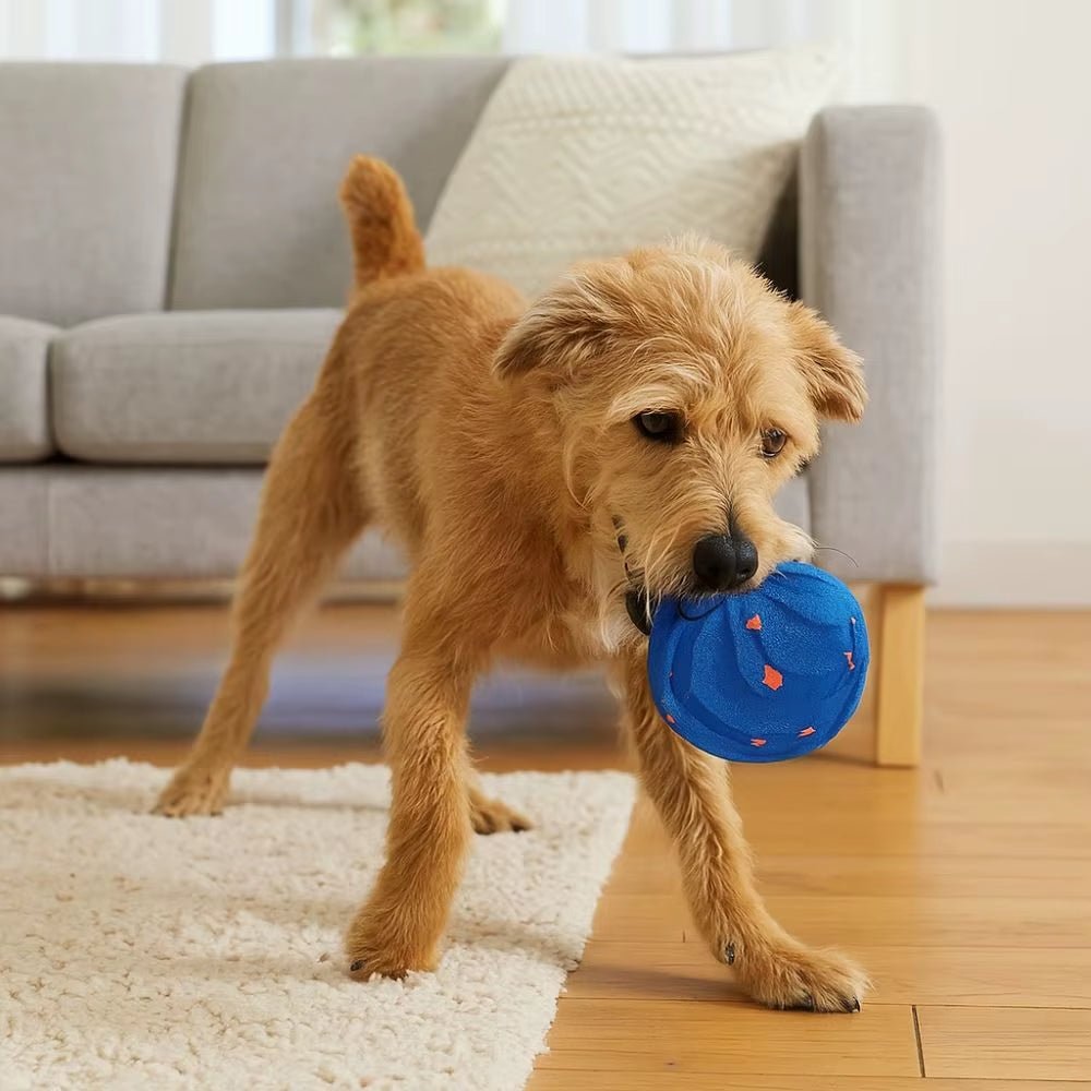 Durable USB Rechargeable Smart Dog Toy Ball - Bite Resistant, Automatic Movement with Light - Drift Lab