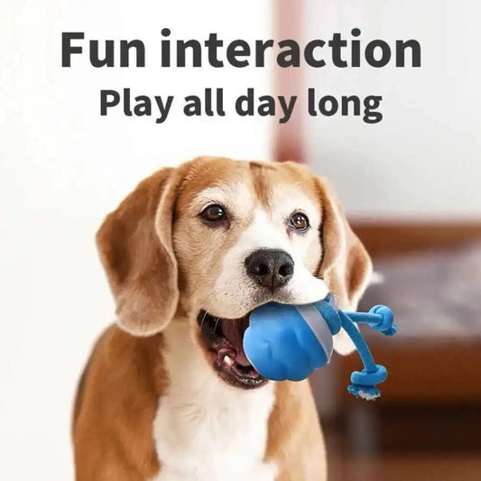 Smart Interactive Rolling Dog Toy with Rope - Motion Activated Automatic Squeaky Ball for Training and Chewing - Drift Lab