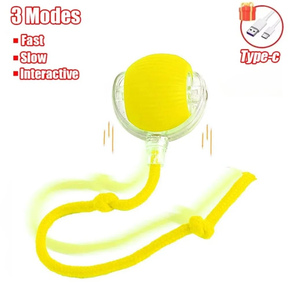 Smart Pet Play Ball - Drift Lab