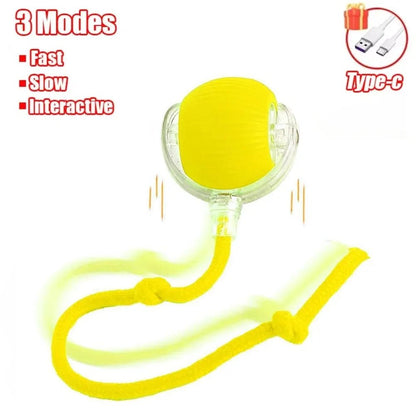 Smart Pet Play Ball - Drift Lab