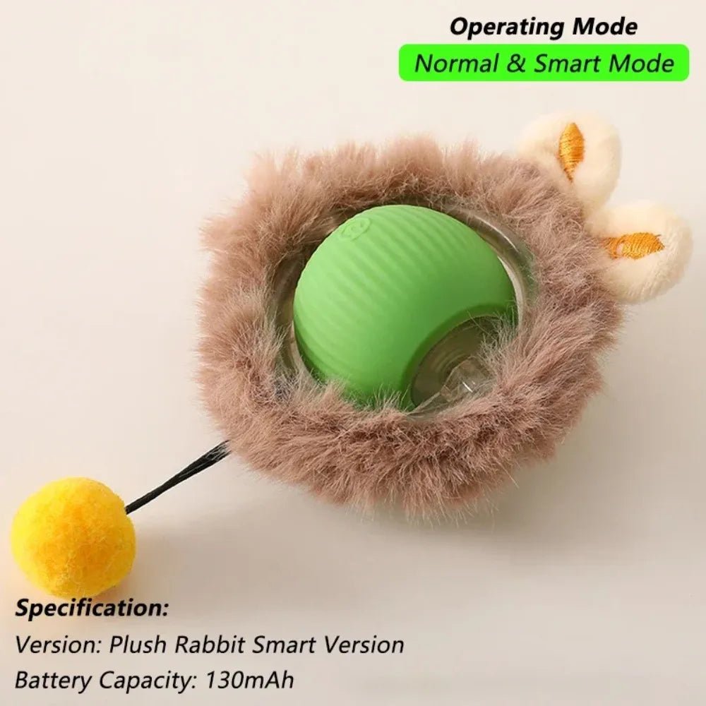 Smart Pet Play Ball - Drift Lab