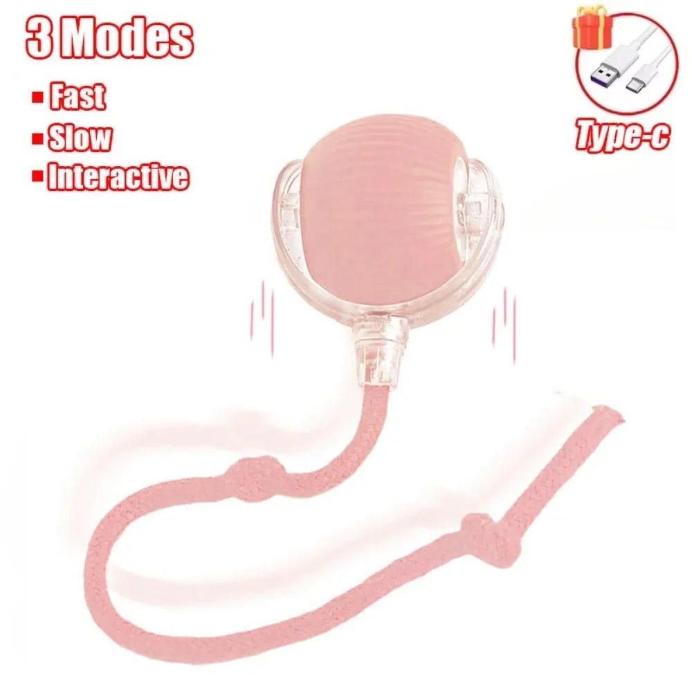 Smart Pet Play Ball - Drift Lab