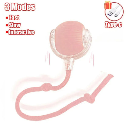 Smart Pet Play Ball - Drift Lab