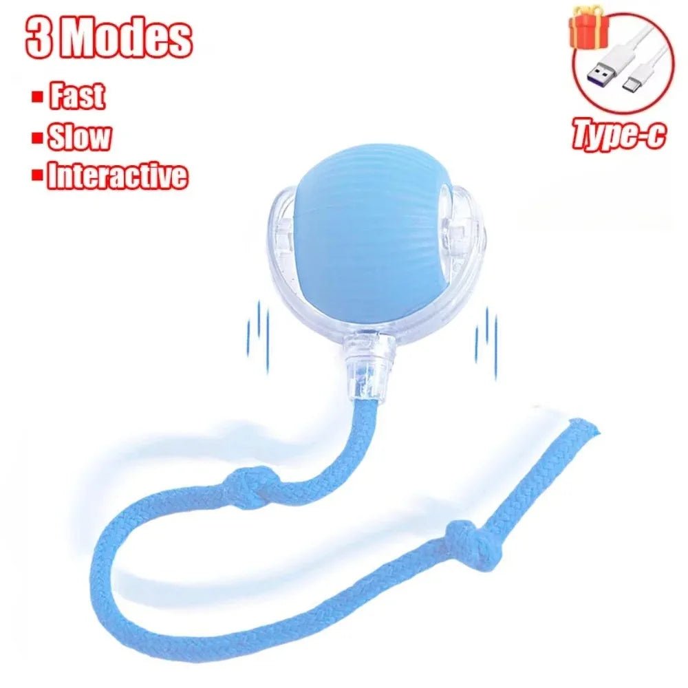 Smart Pet Play Ball - Drift Lab