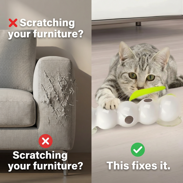 Caterpillar Chase Toy